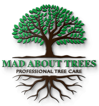 Focus Accounting Services Limited.